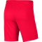 NIKE Park III Dri-FIT Knit Fu&szlig;ballshorts Kinder bright crimson/black M (137-147 cm)