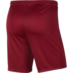 NIKE Park III Dri-FIT Knit Fußballshorts Kinder...