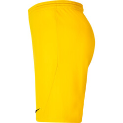 NIKE Park III Dri-FIT Knit Fußballshorts Kinder tour yellow/black XS (122-128 cm)