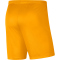 NIKE Park III Dri-FIT Knit Fu&szlig;ballshorts Kinder university gold/black M (137-147 cm)