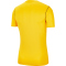NIKE Park 20 Dri-FIT Trikot Herren tour yellow/black/black M