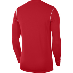 NIKE Park 20 Crew Top langarm Kinder university...