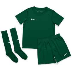 NIKE Park 20 Dri-FIT Kleinkinder Minikit...