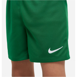 NIKE Park 20 Dri-FIT Kleinkinder Minikit...