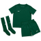 NIKE Park 20 Dri-FIT Kleinkinder Minikit Trikot+Shorts+Stutzen pine green/pine green/white XS (98-104 cm)
