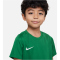 NIKE Park 20 Dri-FIT Kleinkinder Minikit Trikot+Shorts+Stutzen pine green/pine green/white XS (98-104 cm)