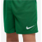 NIKE Park 20 Dri-FIT Kleinkinder Minikit Trikot+Shorts+Stutzen pine green/pine green/white XS (98-104 cm)
