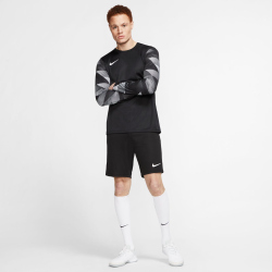 NIKE Park IV Dri-FIT Goalkeeper Torwarttrikot black/white/white S
