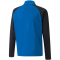 PUMA teamLIGA 1/4-Zip Top Kinder