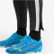 PUMA teamLIGA Trainingsshose
