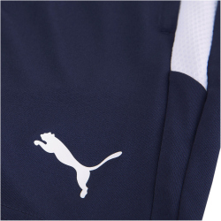 PUMA teamLIGA Trainingsshorts Kinder