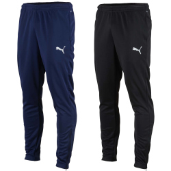 PUMA teamRISE Trainingshose Kinder