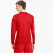 PUMA teamGOAL 23 langarm Trainingsshirt