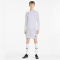 PUMA teamGOAL 23 langarm Trainingsshirt