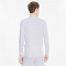 PUMA teamGOAL 23 langarm Trainingsshirt