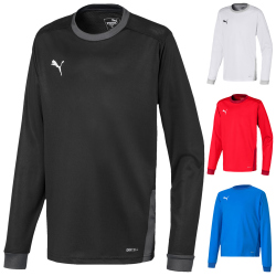 PUMA teamGOAL 23 langarm Trainingsshirt Kinder