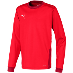 PUMA teamGOAL 23 langarm Trainingsshirt Kinder