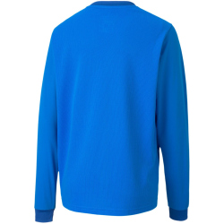 PUMA teamGOAL 23 langarm Trainingsshirt Kinder