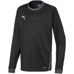PUMA teamGOAL 23 langarm Trainingsshirt Kinder