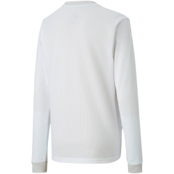 PUMA teamGOAL 23 langarm Trainingsshirt Kinder