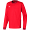 PUMA teamGOAL 23 langarm Trainingsshirt Kinder