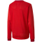 PUMA teamGOAL 23 langarm Trainingsshirt Kinder