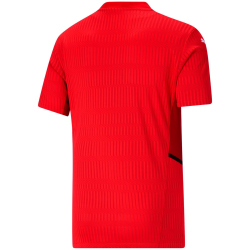 PUMA teamCUP Trikot Kinder
