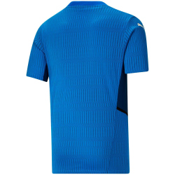 PUMA teamCUP Trikot Kinder