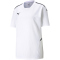 PUMA teamCUP Trikot Kinder