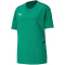 PUMA teamCUP Trikot Kinder