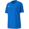 PUMA teamCUP Trikot Kinder