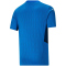 PUMA teamCUP Trikot Kinder