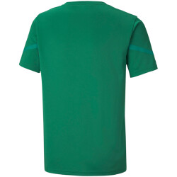 PUMA teamFLASH Trikot Kinder
