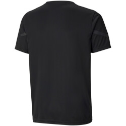 PUMA teamFLASH Trikot Kinder