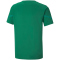 PUMA teamFLASH Trikot Kinder