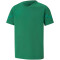 PUMA teamFLASH Trikot Kinder