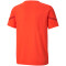 PUMA teamFLASH Trikot Kinder