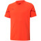 PUMA teamFLASH Trikot Kinder