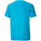 PUMA teamFLASH Trikot Kinder