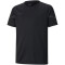 PUMA teamFLASH Trikot Kinder