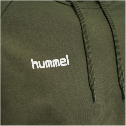 hummel GO Baumwoll Hoodie Herren grape leaf S