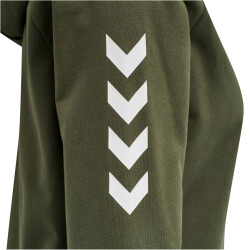 hummel GO Baumwoll Kapuzenjacke Damen grape leaf XS