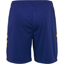 hummel Promo Duo Trikotset sports yellow/true blue S