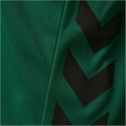 hummel Promo Duo Trikotset evergreen/black S