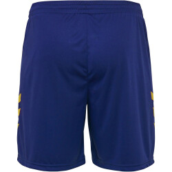 hummel Promo Duo Trikotset Kinder 5167 - sports yellow/true blue 116