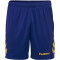 hummel Promo Duo Trikotset Kinder 5167 - sports yellow/true blue 116