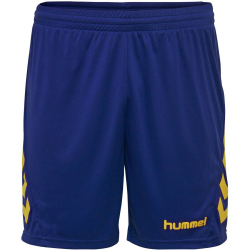 hummel Promo Duo Trikotset Kinder 5167 - sports yellow/true blue 176