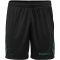 hummel Promo Duo Trikotset Kinder evergreen/black 104
