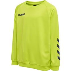 hummel Promo Poly Sweatshirt Kinder lime punch 128