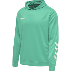 hummel Promo Poly Hoodie Kinder atlantis 116